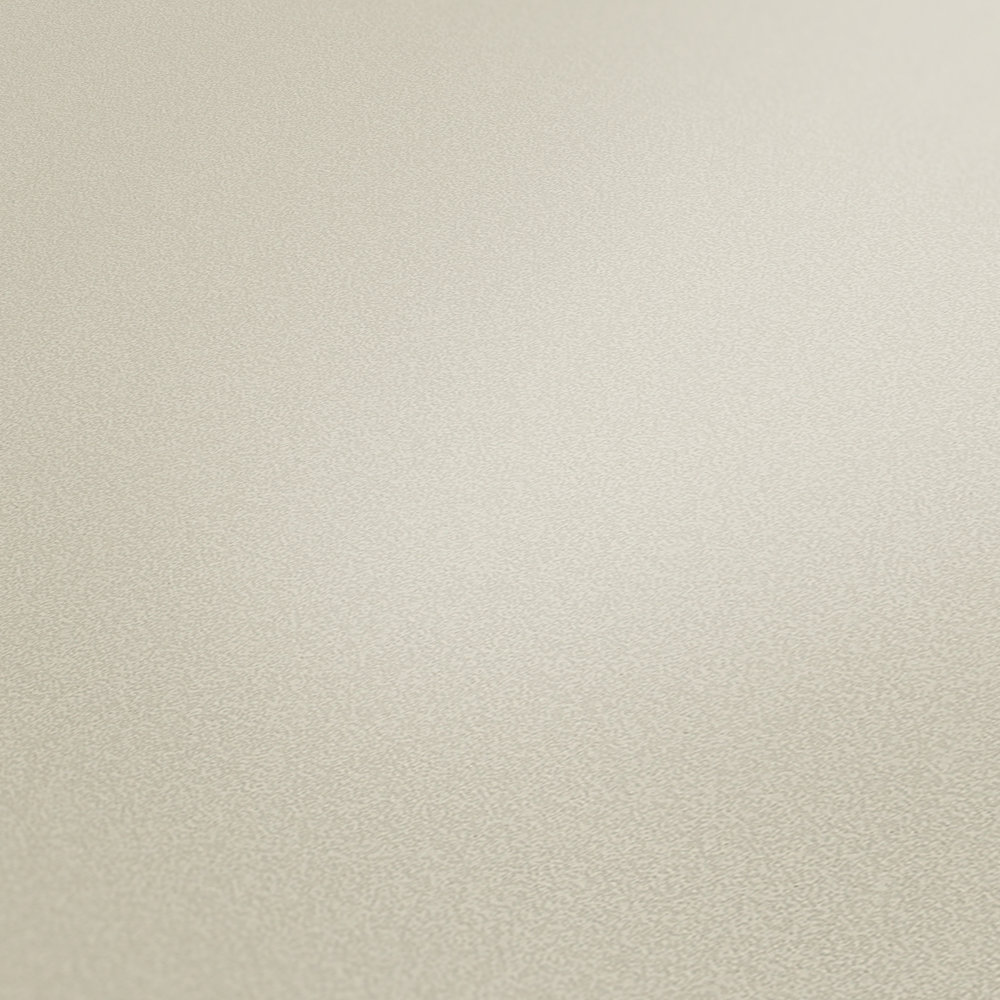            Non-woven wallpaper light grey satin with subtle texture effect
        