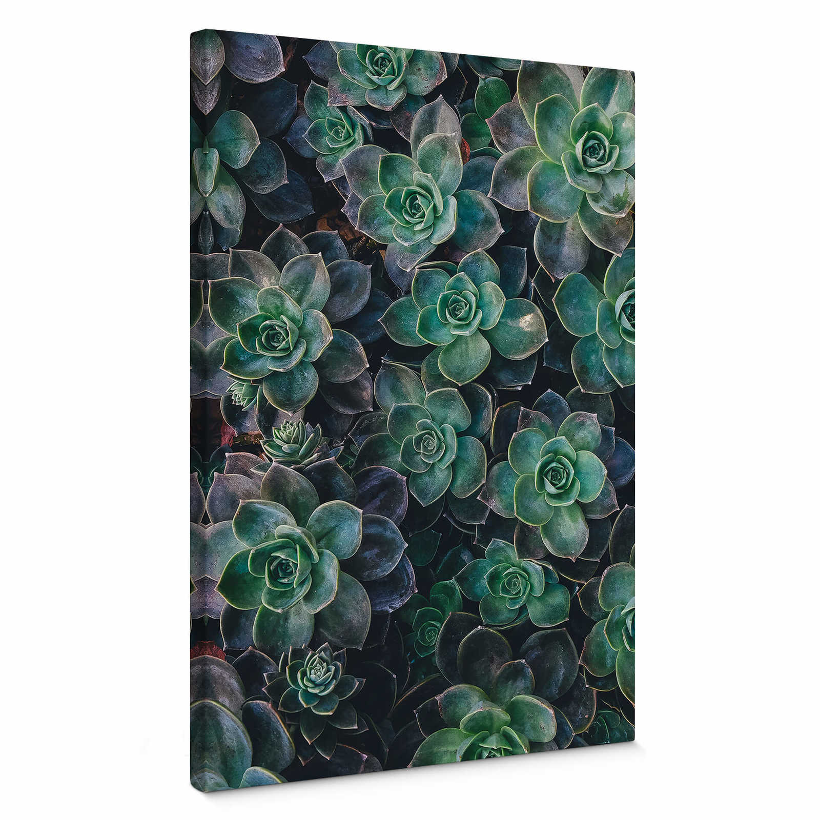 Canvas print succulents in nature – green
