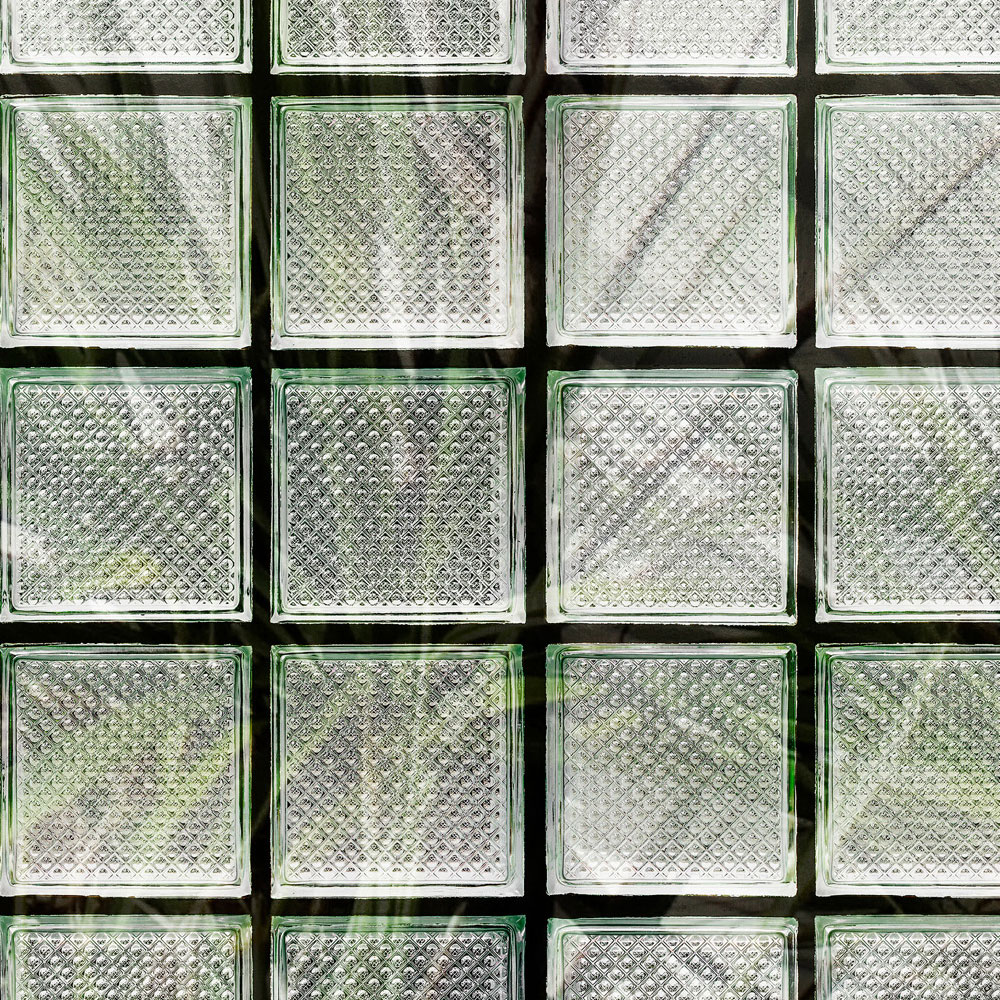             Green House 1 - Papier peint panoramique palmiers & briques de verre
        