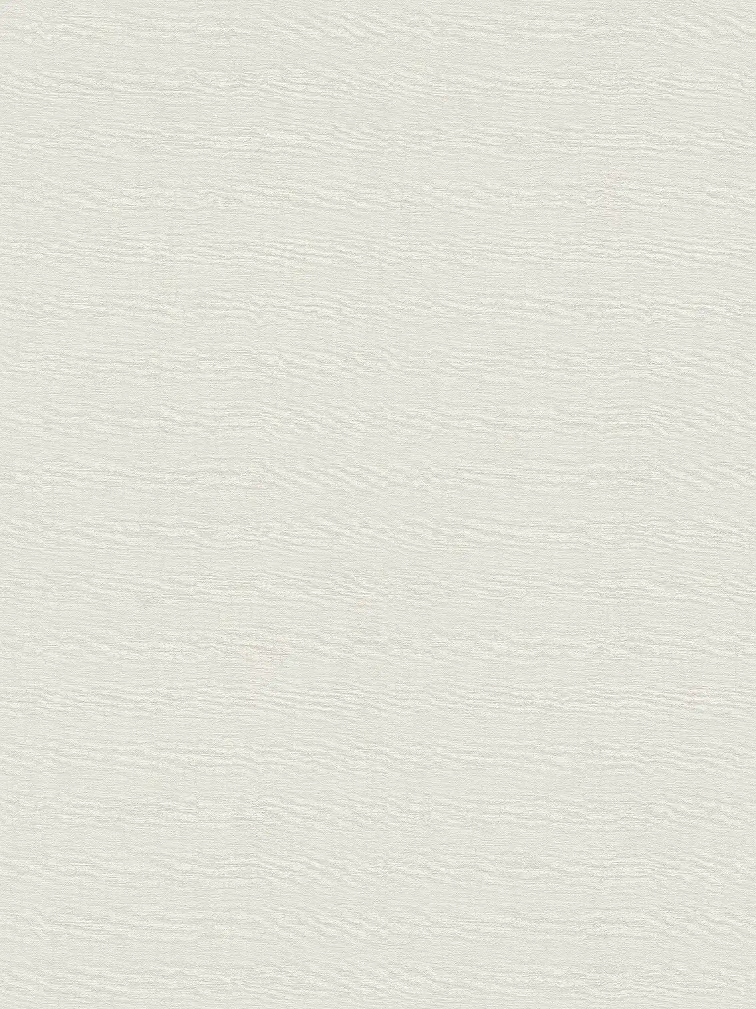 Single-coloured non-woven wallpaper with textile pattern - white, light grey
