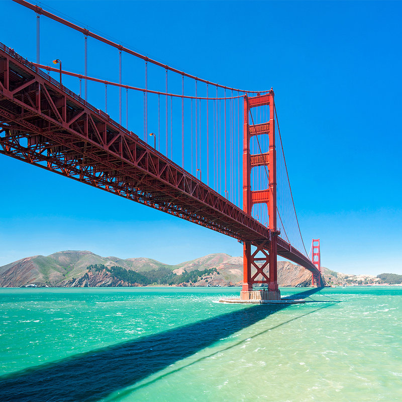 Golden Gate Bridge in San Francisco mural - pearlescent smooth fleece
