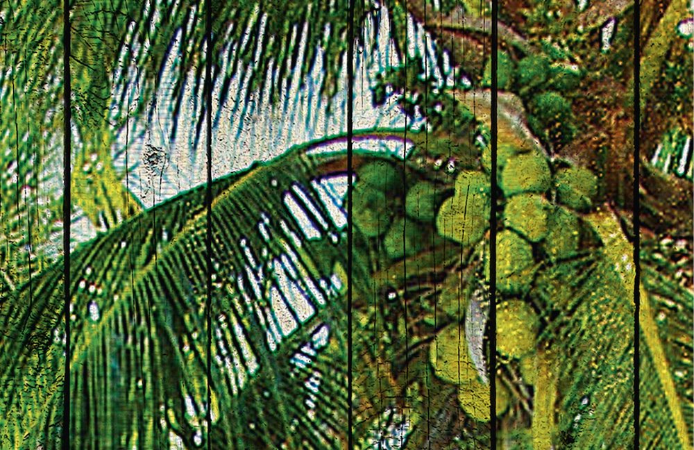             Tahiti 1 - Carta da parati per la spiaggia dei mari del sud con pannelli ottici in legno - Beige, Blu | Vello liscio opaco
        