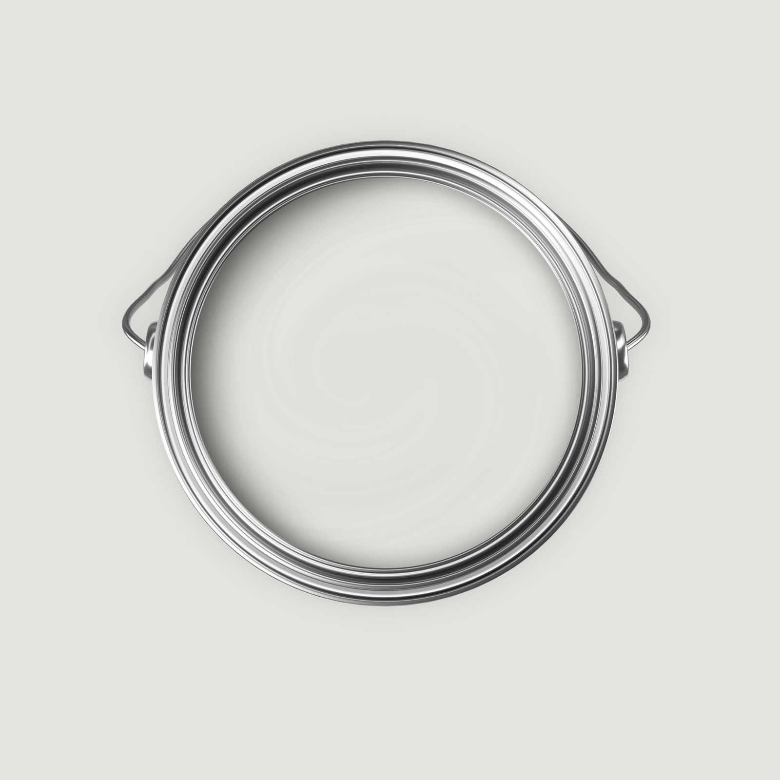             Pintura mural Premium gris claro acogedor »Creamy Grey« NW107 – 5 litro
        