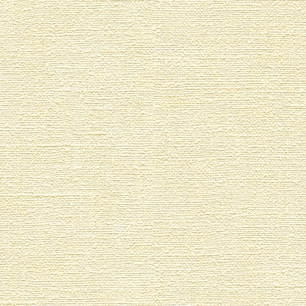             Papel pintado no tejido, monocolor, aspecto textil - beige
        