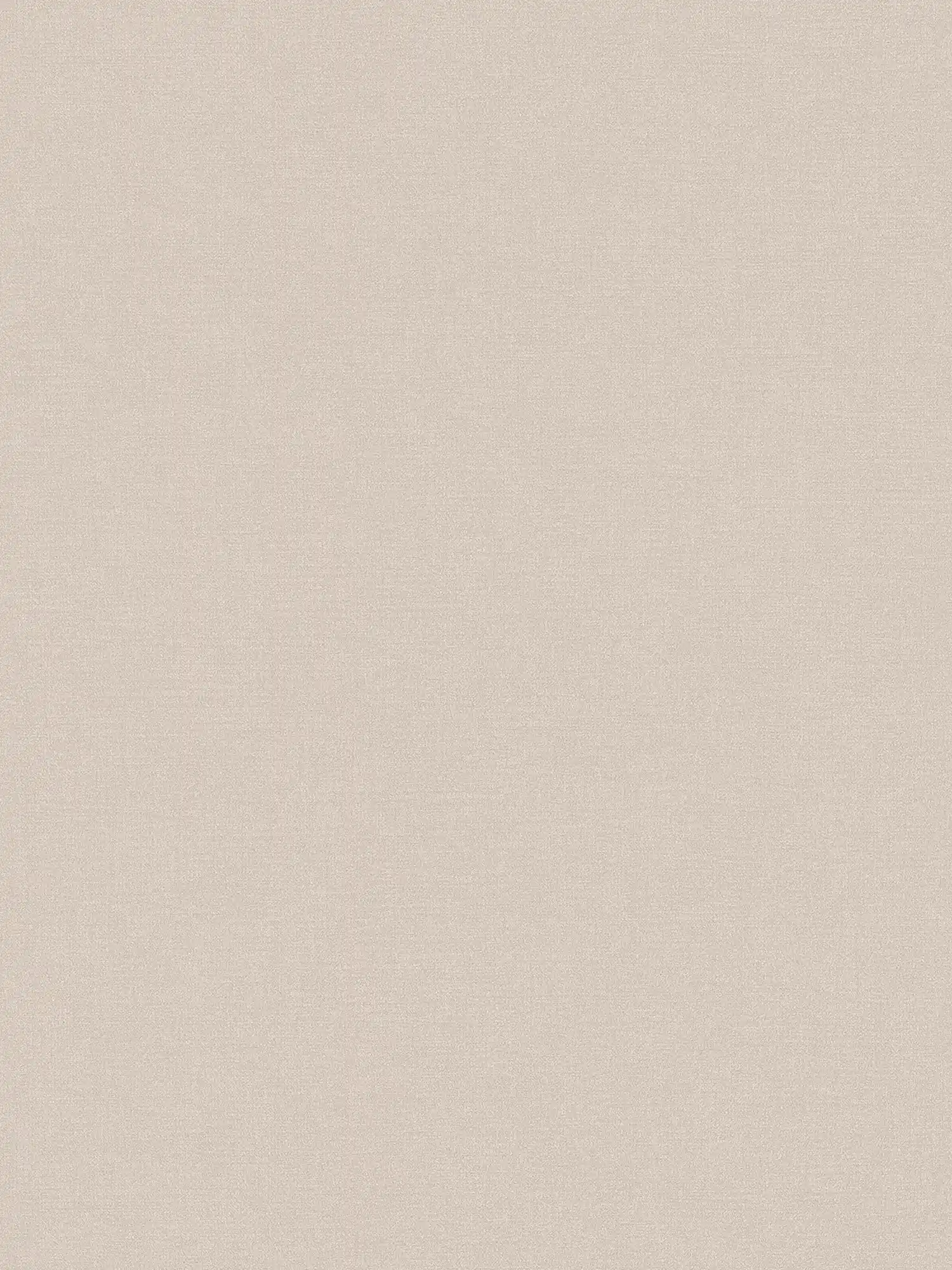 Non-woven wallpaper plain in subtle colours - greige, light grey
