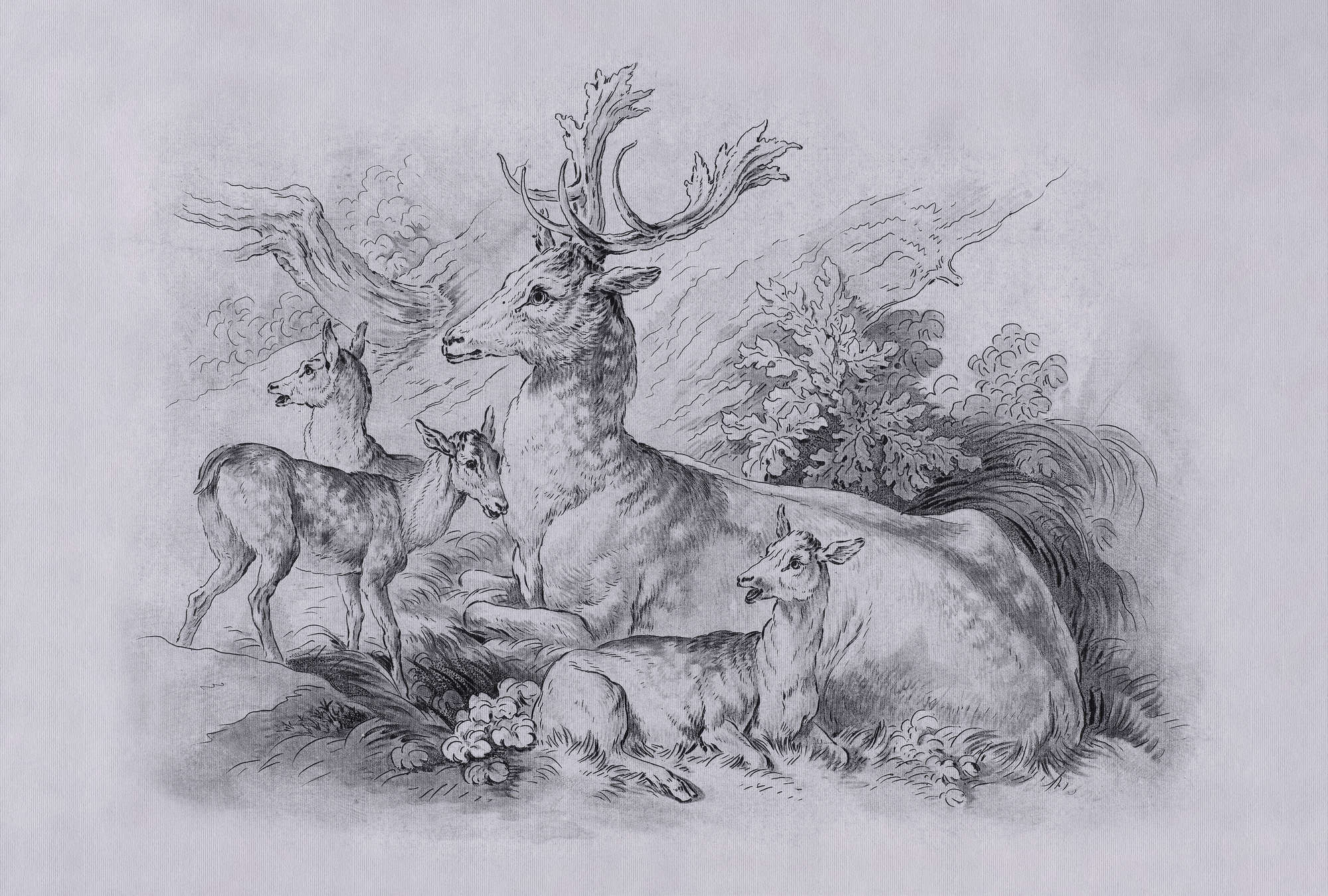             On the Grass 2 - Carta da parati con disegni vintage di cervi e cerbiatti in grigio
        