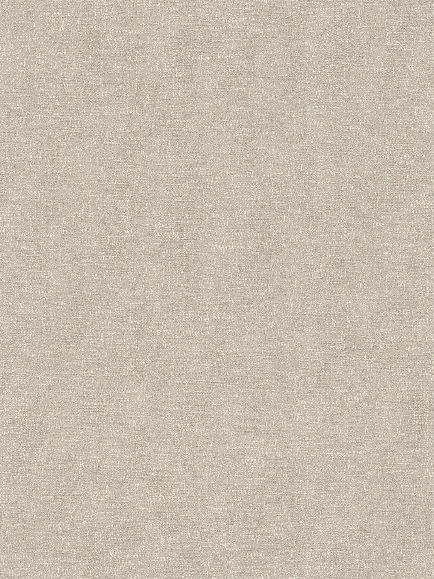 Light grey non-woven wallpaper with shimmer finish and textured pattern - grey
