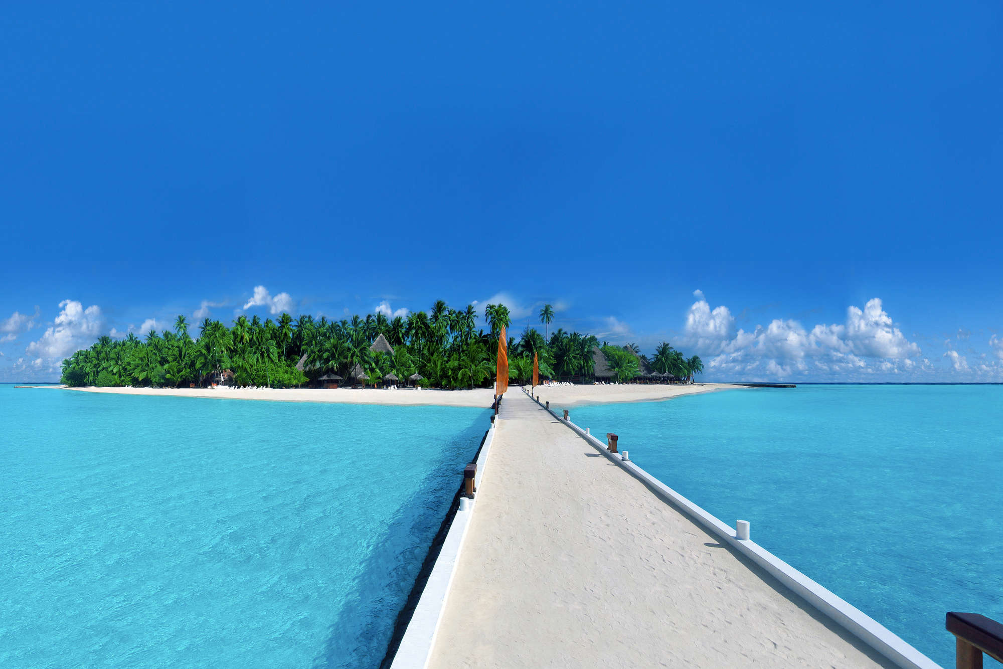             Island mural bridge to island with palm trees on matt smooth fleece
        