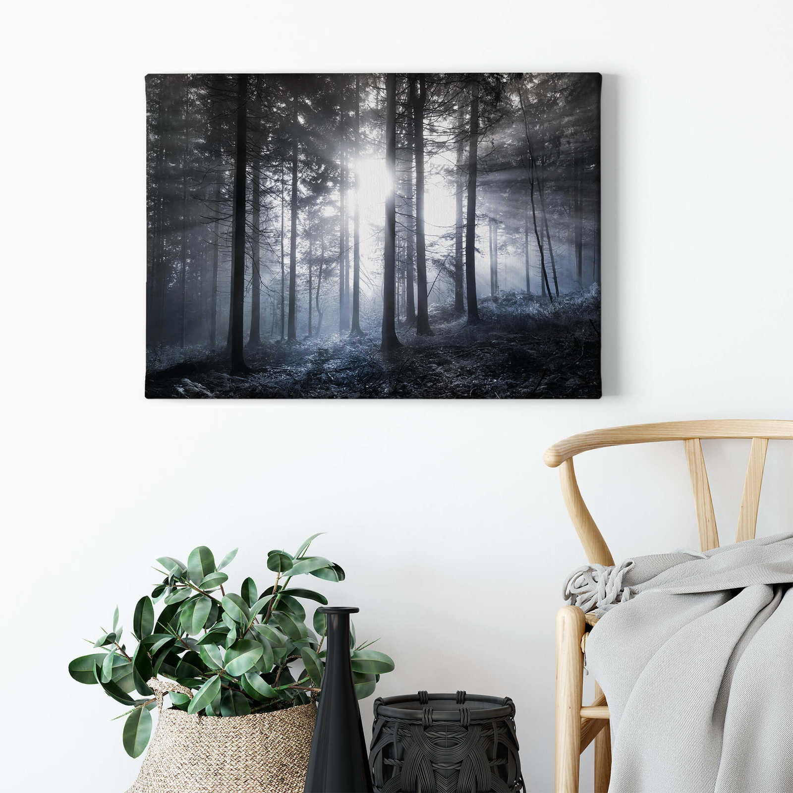             Canvas print forest at dawn
        