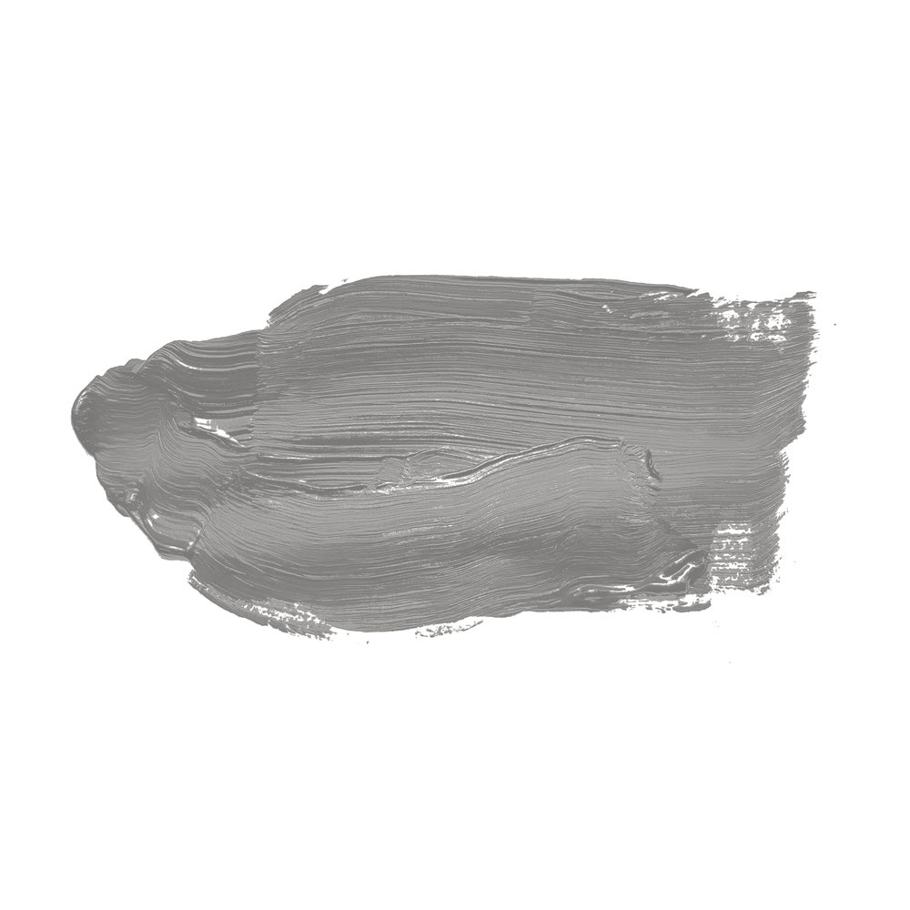             Wall Paint TCK1011 »Attractive Anchovies« in warm silver-grey – 5.0 litre
        