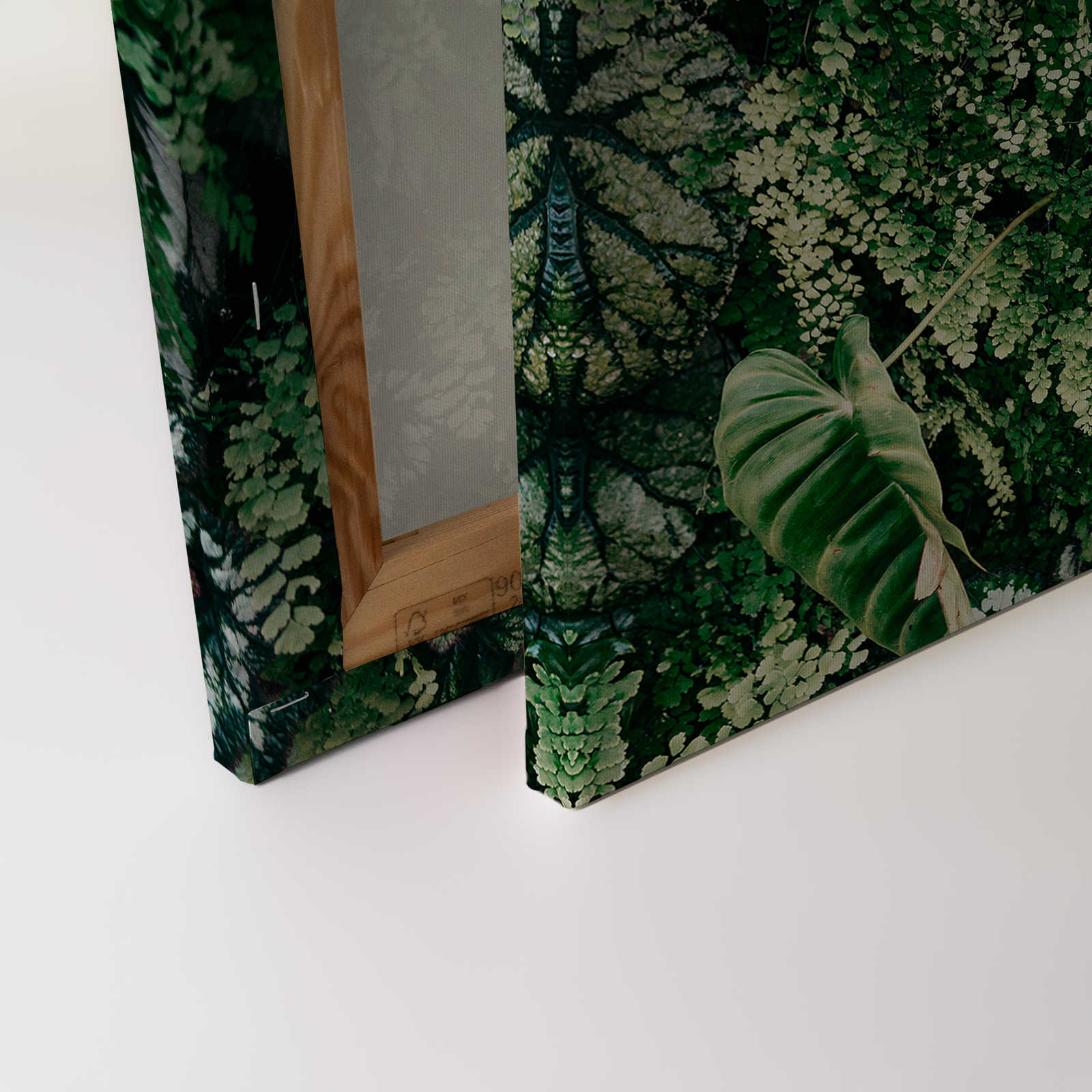             Deep Green 2 - Quadro su tela con foliage, felci e piante pendenti - 1,20 m x 0,80 m
        
