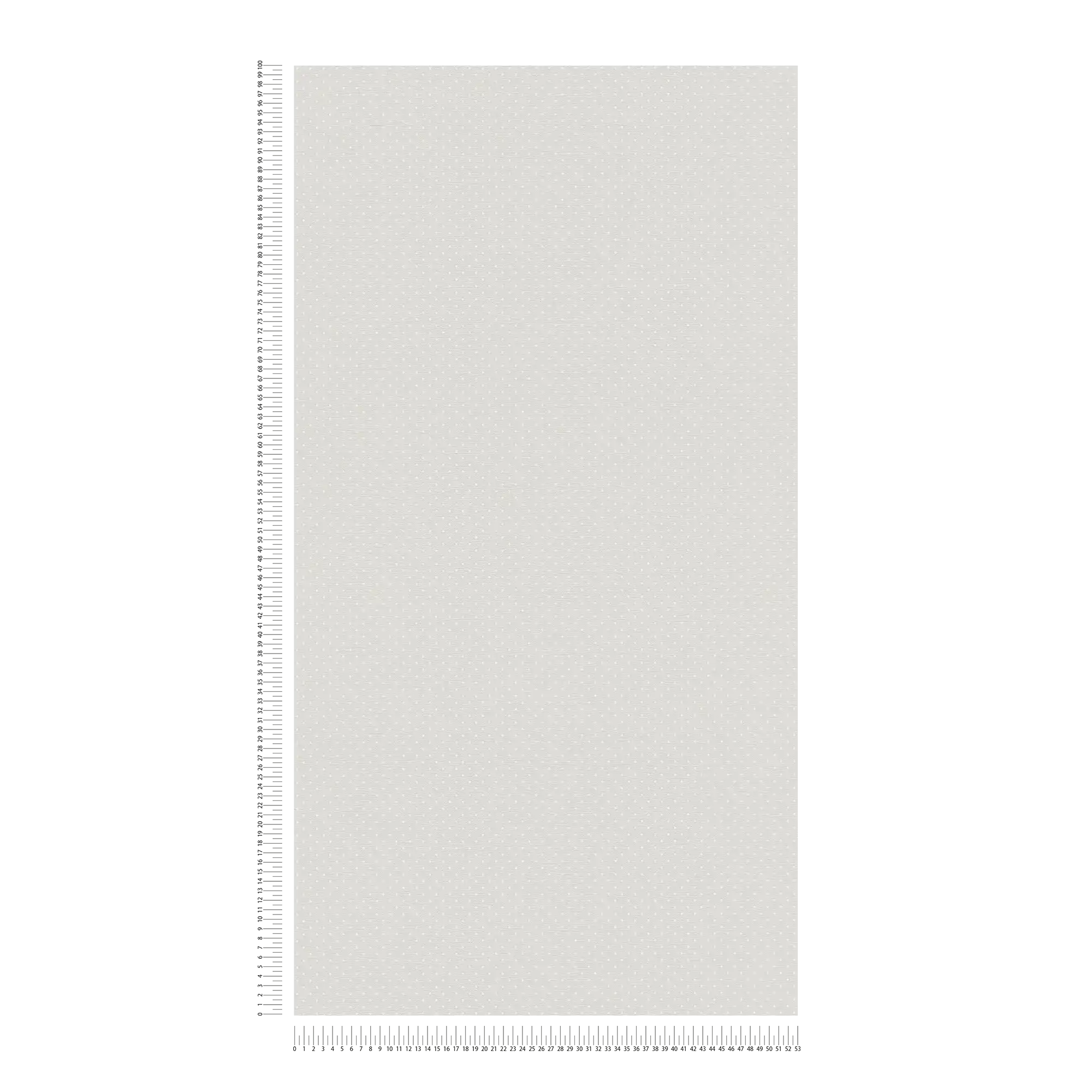             Carta da parati in tessuto non tessuto con motivo a piccoli punti - grigio, bianco
        