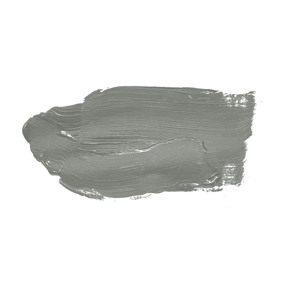             Wall Paint TCK4014 »Original Oregano« in greyish green – 2.5 litre
        