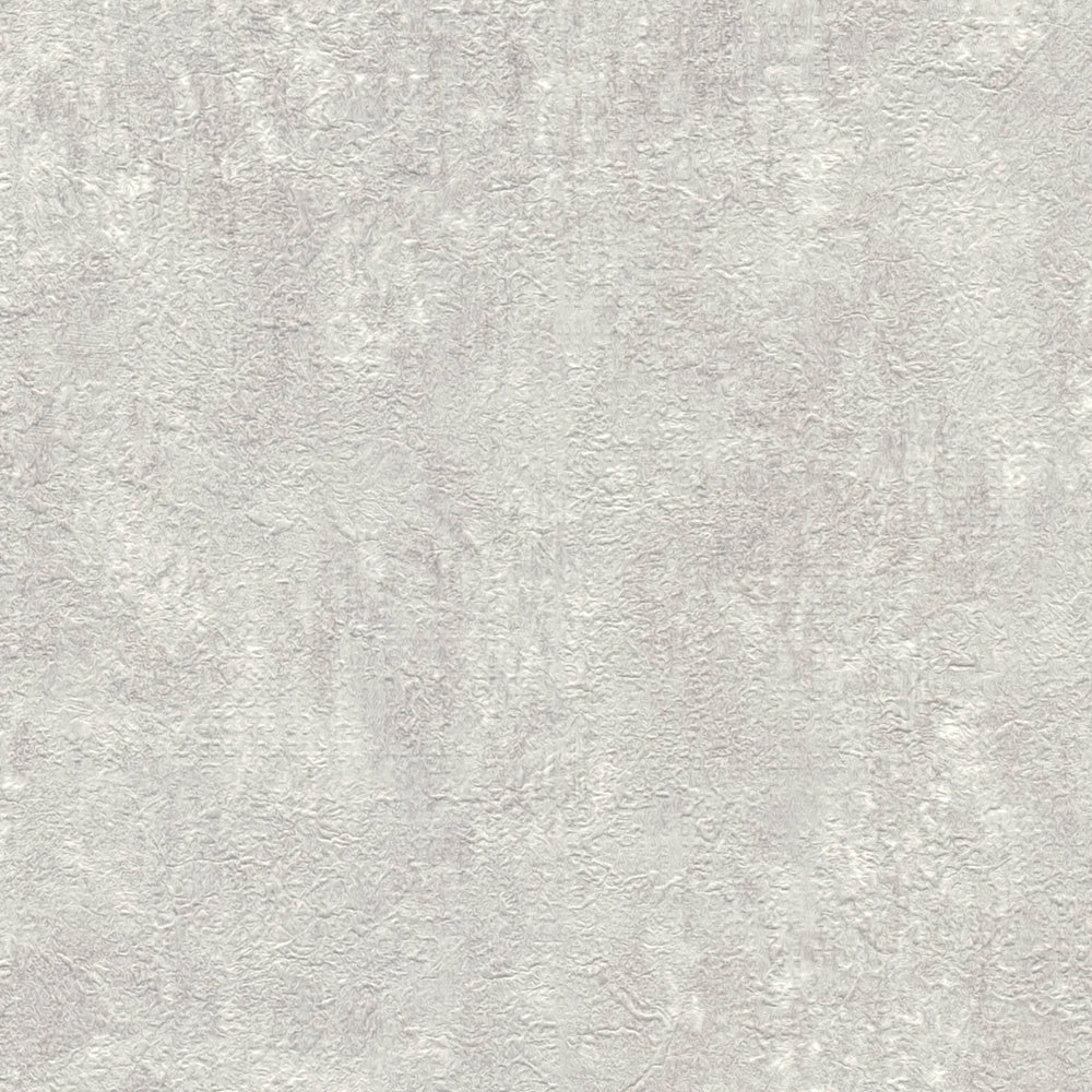             Papier peint intissé Béton texturé gris clair chiné - Gris
        