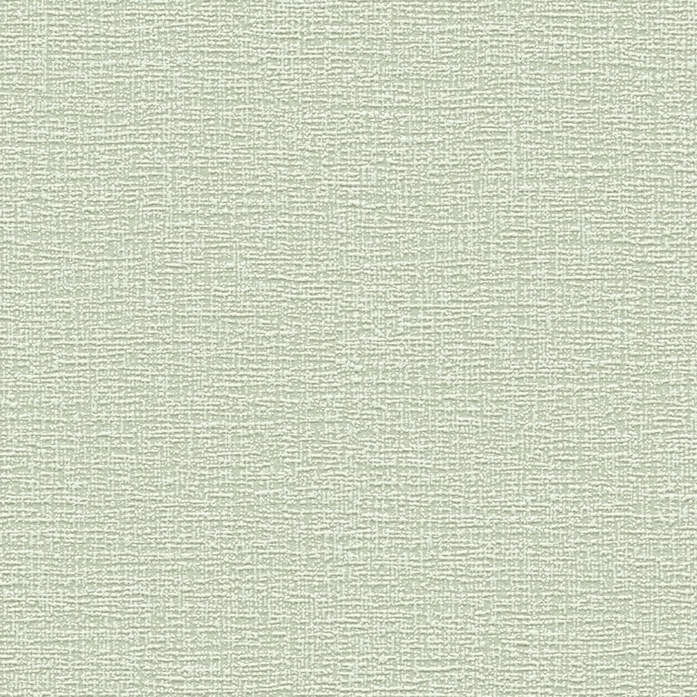             Papier peint style naturel, uni avec motifs structurés - vert, blanc
        