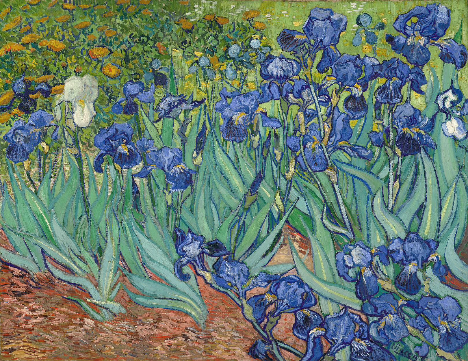             Irissen" muurschildering door Vincent van Gogh
        