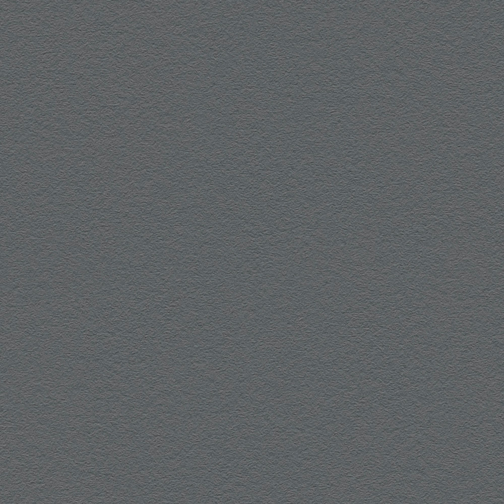             Papier peint uni gris foncé anthracite mat & structuré
        