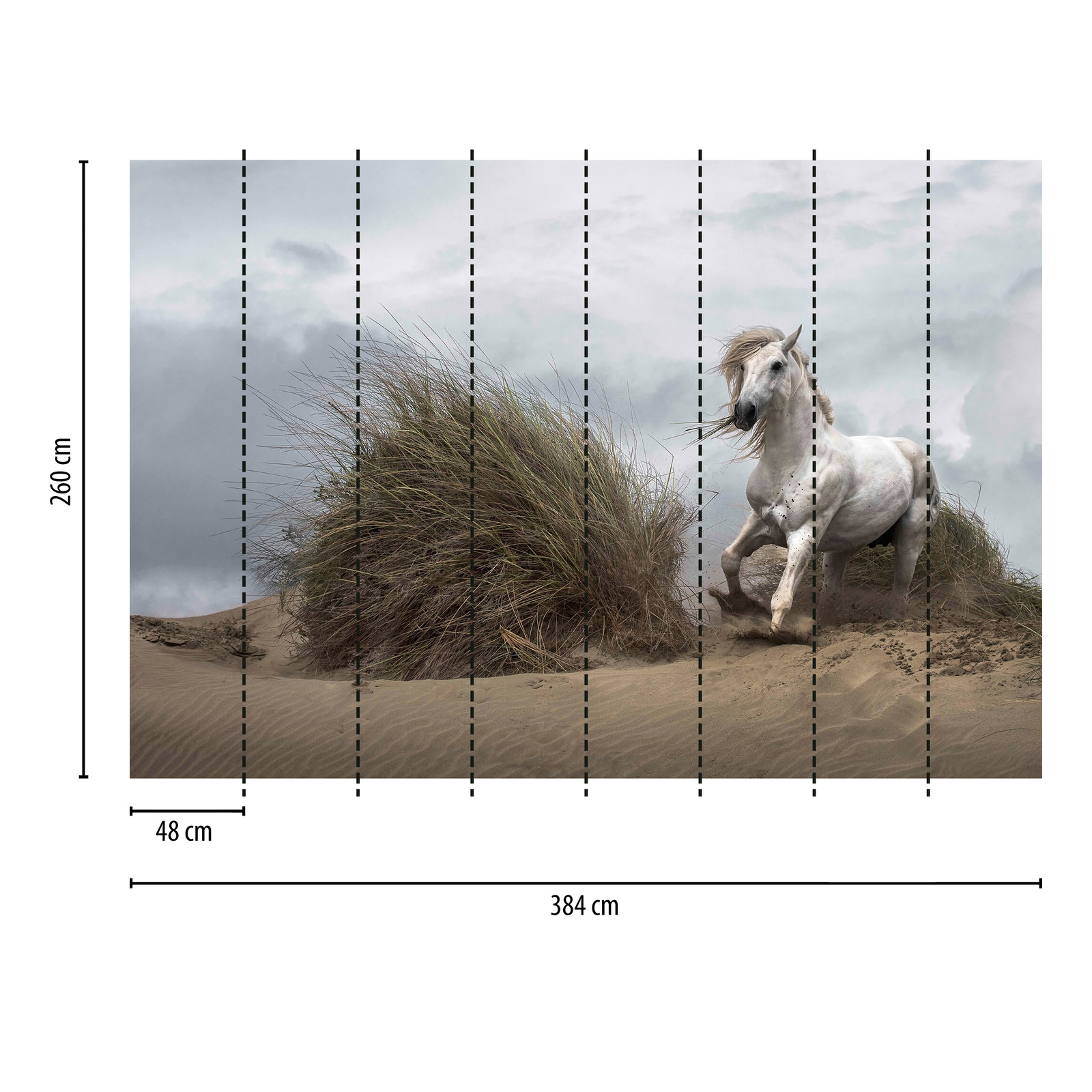             Photo wallpaper wild horse on the beach - white, beige, grey
        
