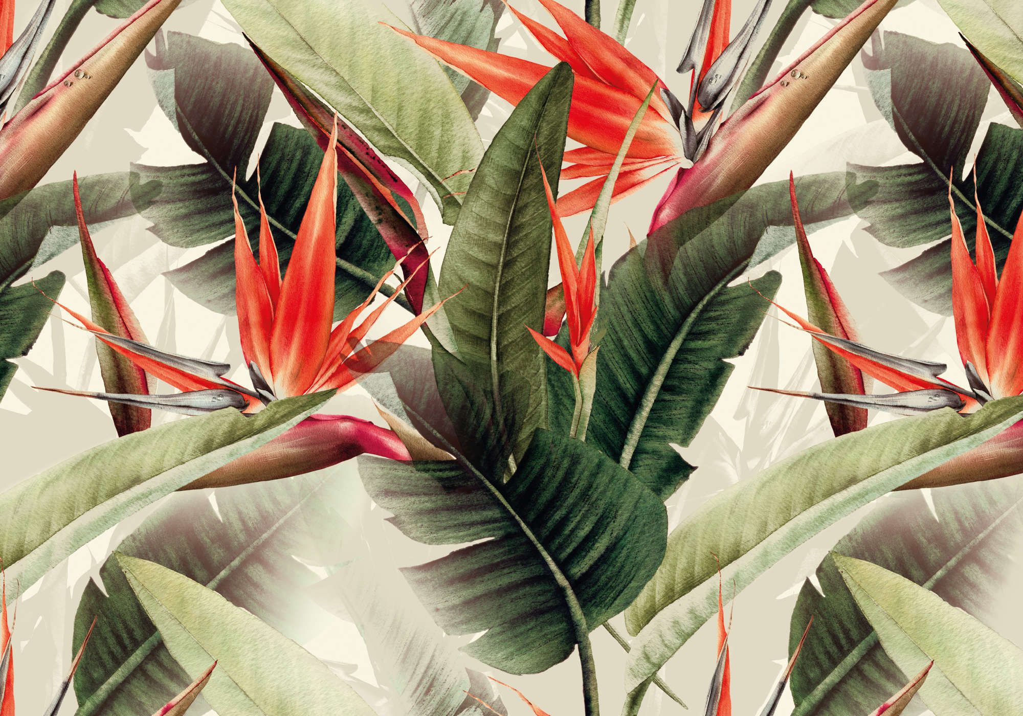            Photo wallpaper jungle leaves & bird of paradise flower
        