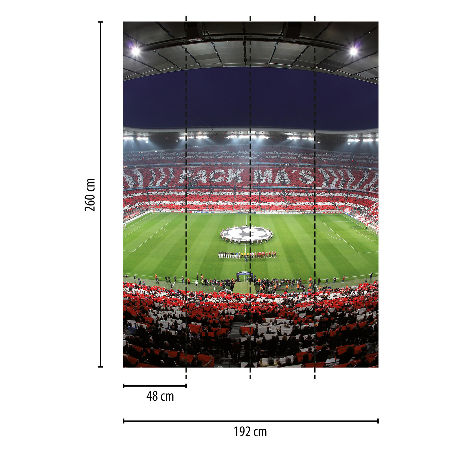             FCB Stadium Papier peint Chorégraphie des supporters, format vertical
        