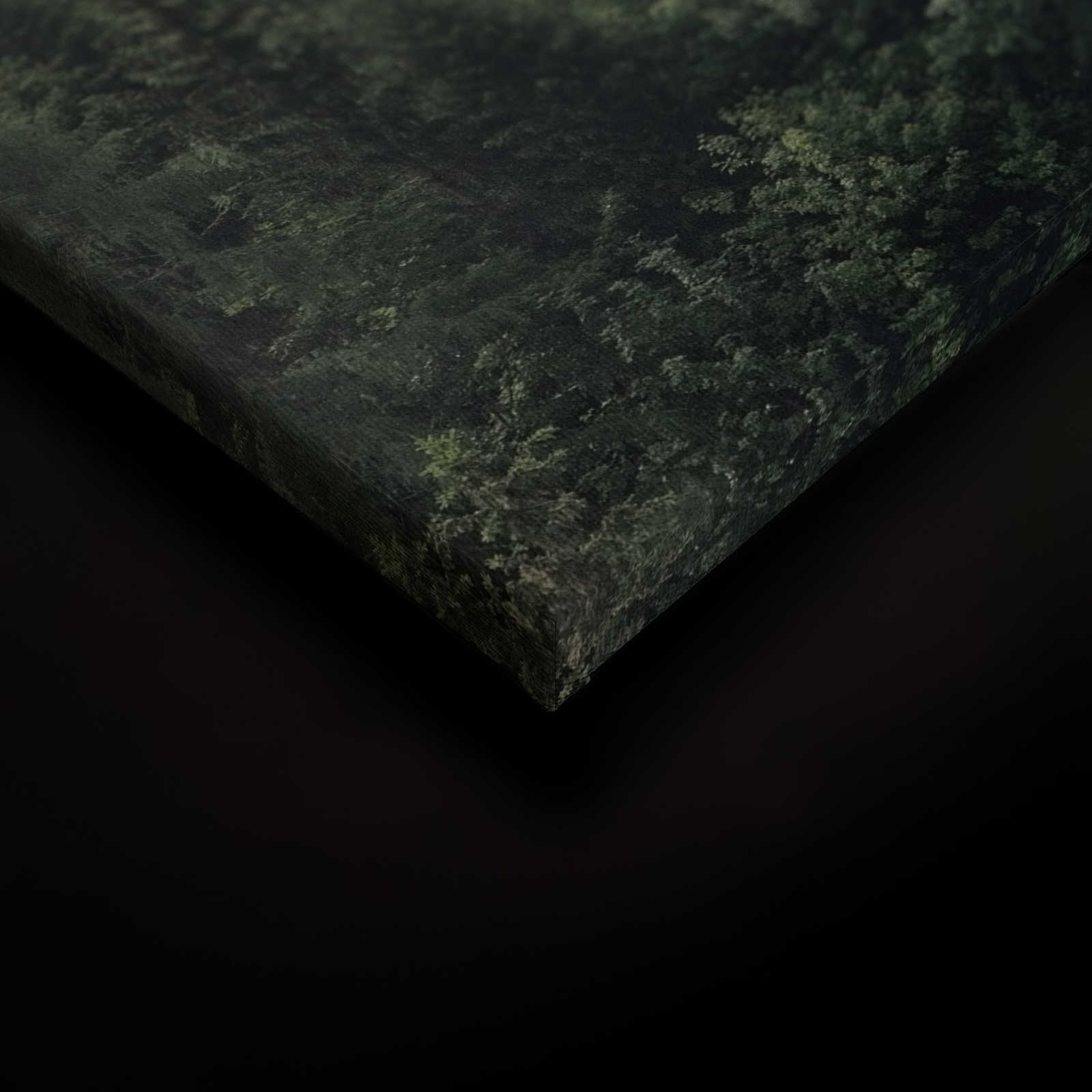             Canvas met bos van boven op een mistige dag - 0.90 m x 0.60 m
        