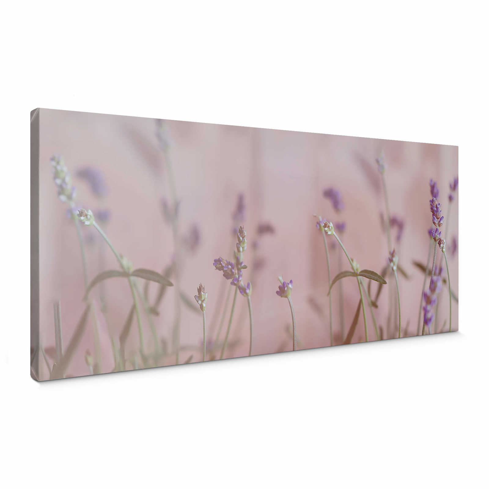         Panoramic print flower meadow with lavender blossoms
    