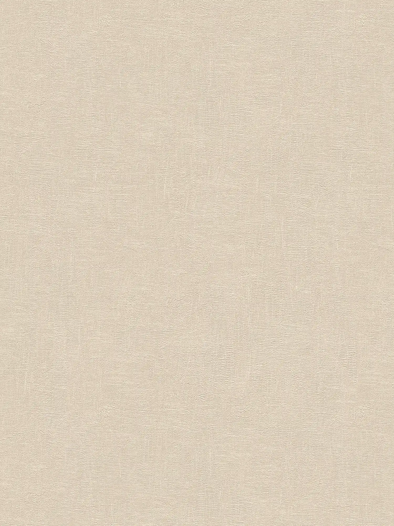 Papier peint rustique aspect plâtre avec motifs structurés - beige
