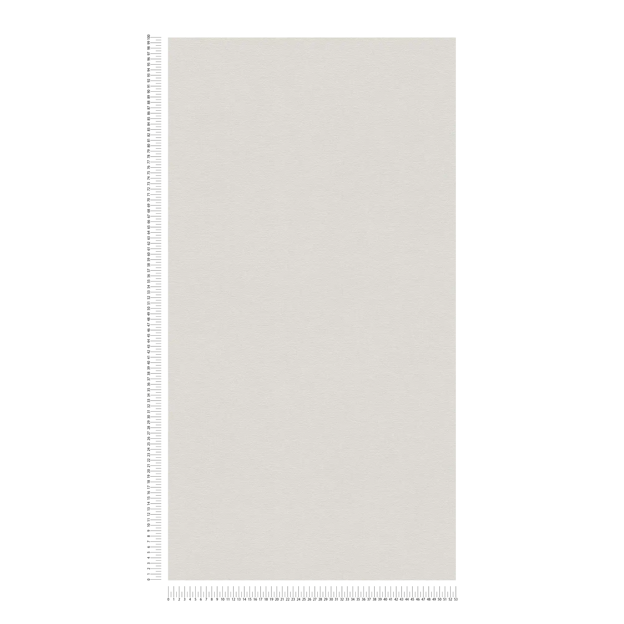             Plain wallpaper with a light textured look - grey
        