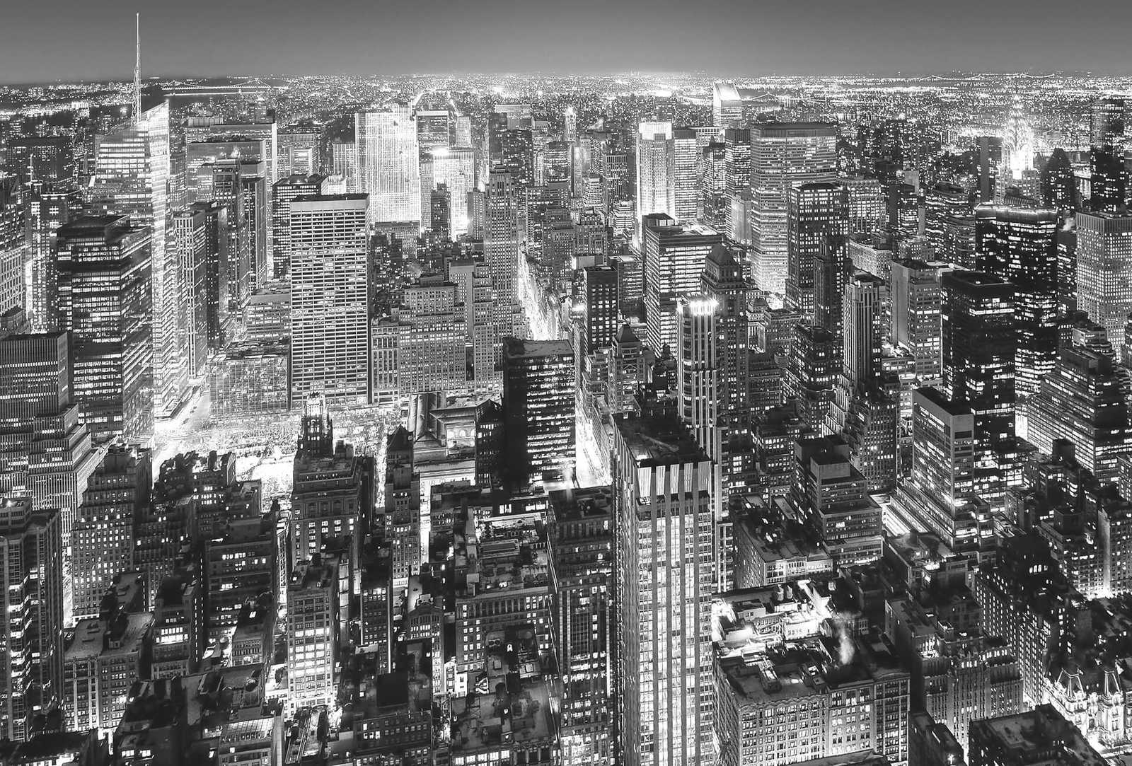         New York City black and white skyline mural
    