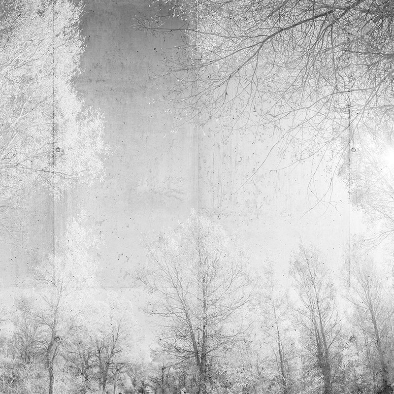 Papier peint panoramique imitation béton & design forêt, noir et blanc - gris, blanc
