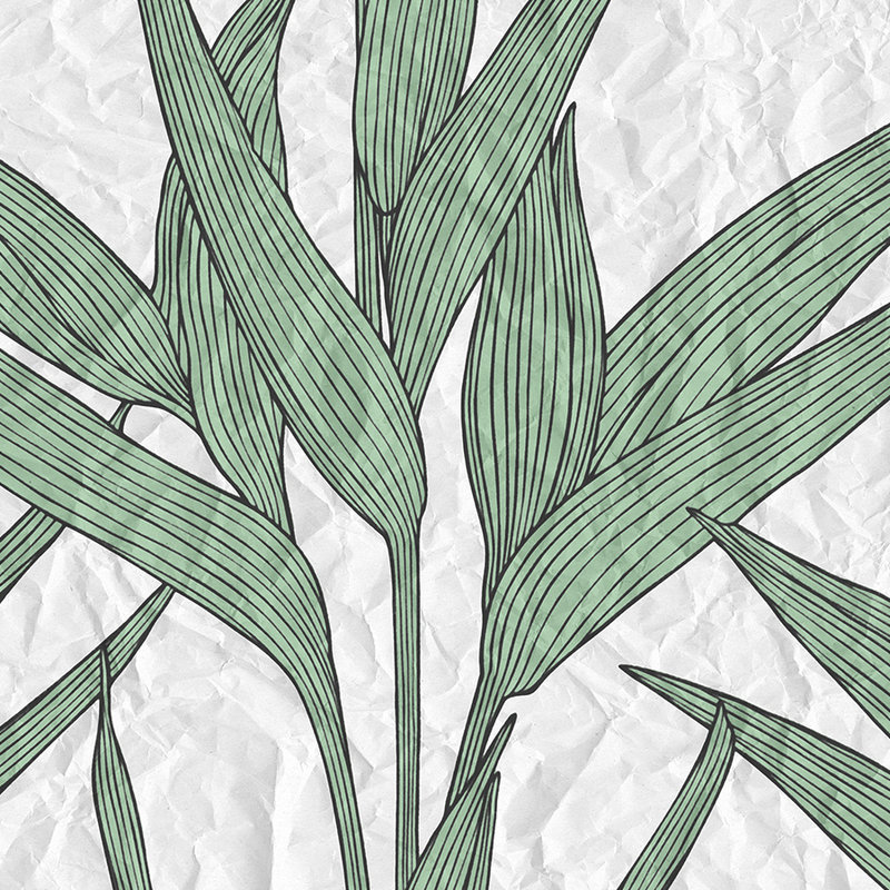 Papier peint Feuilles Motif & aspect papier - vert, blanc
