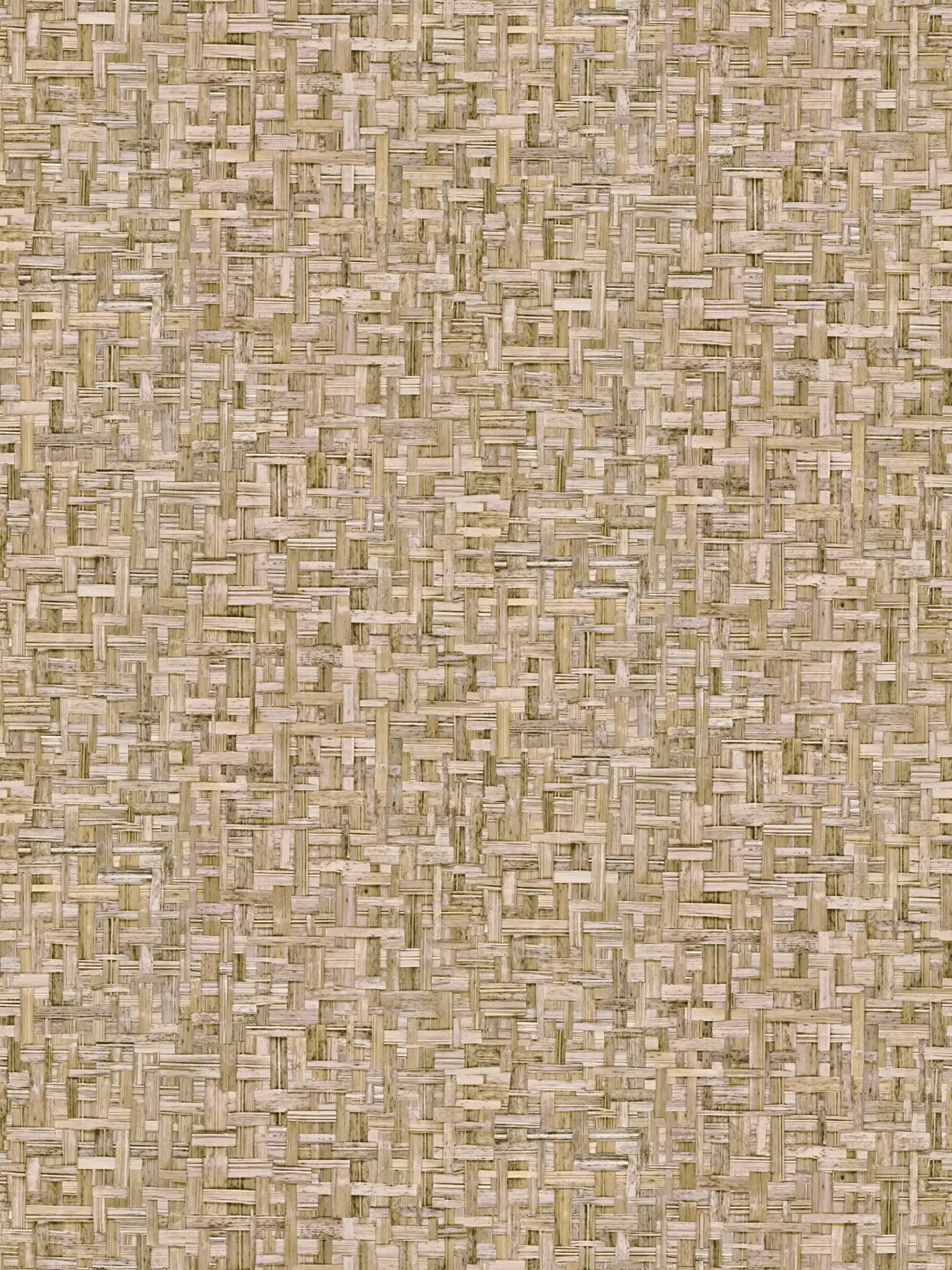 Wallpaper light brown wood look with fiber pattern - brown, beige
