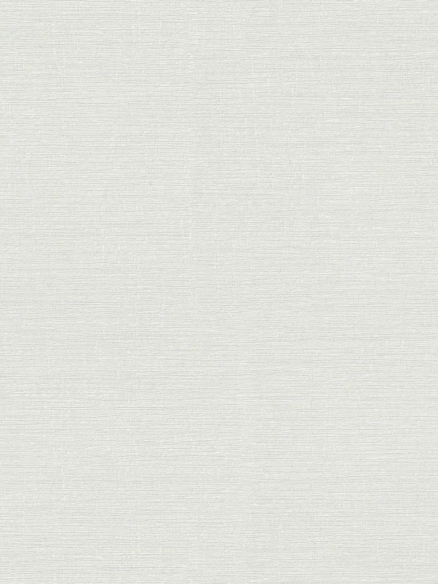 Simple plain wallpaper with a light texture - grey
