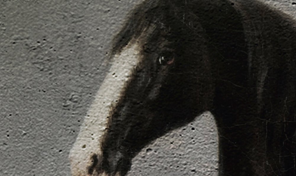             Paarden muurschildering Klassieke schilderstijl - Zwart, Wit
        