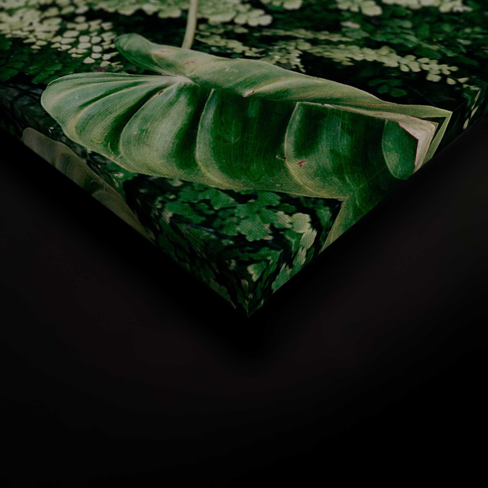             Deep Green 2 - Canvas schilderij Loofbos, varens & hangplanten - 0.90 m x 0.60 m
        
