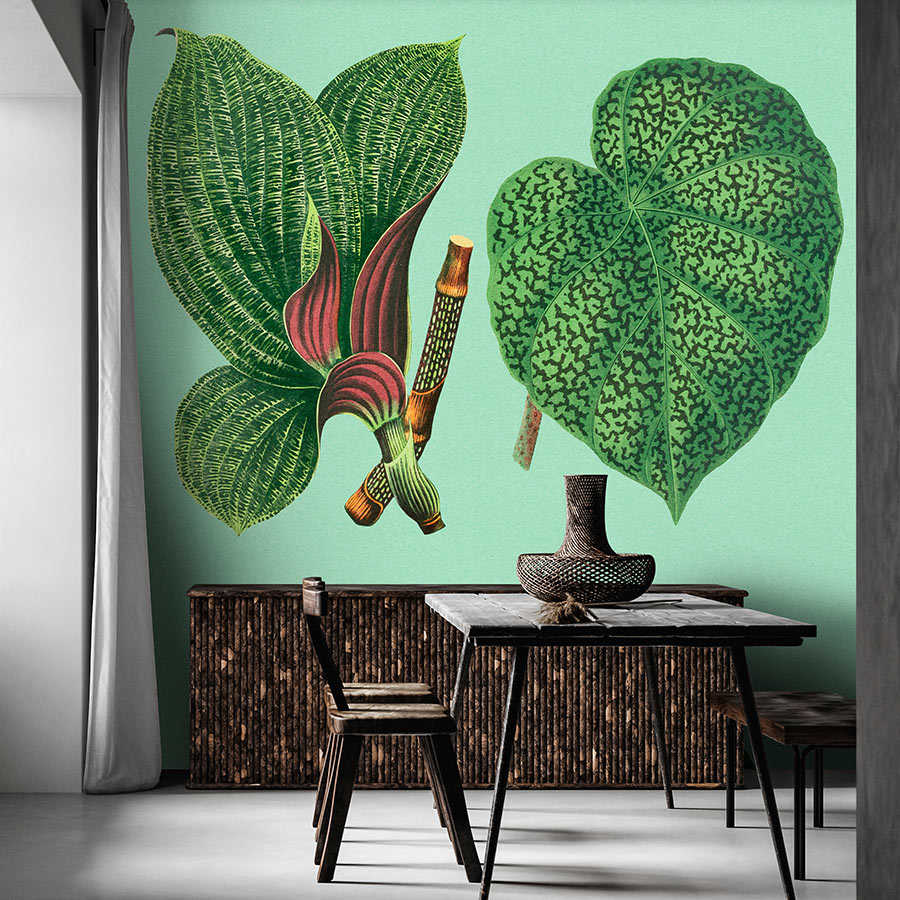 Jardín de hojas 2 - Hojas de papel pintado de fotos verde con plantas tropicales
