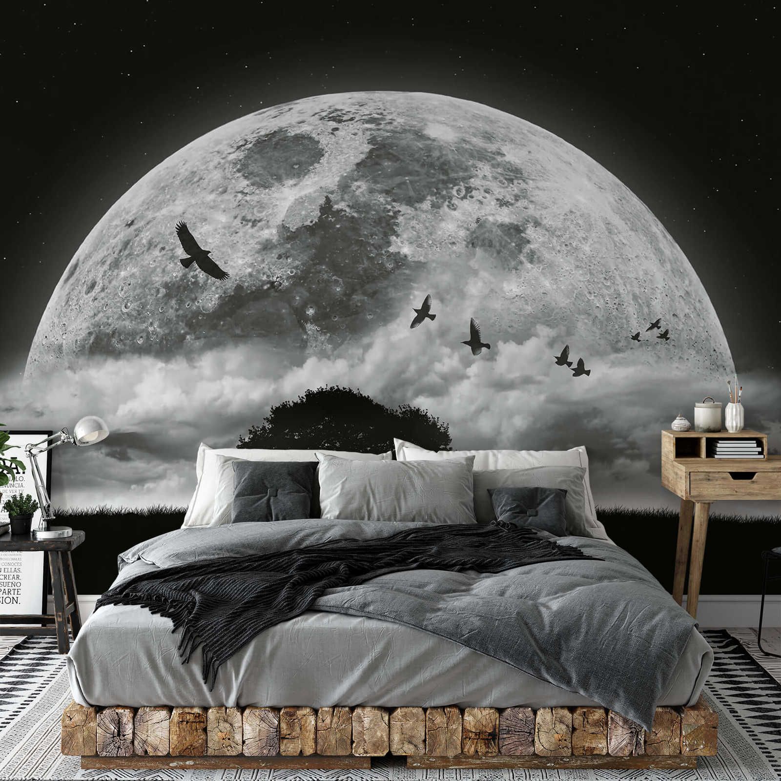 Foto Wallpaper Moon and Birds - Black, White