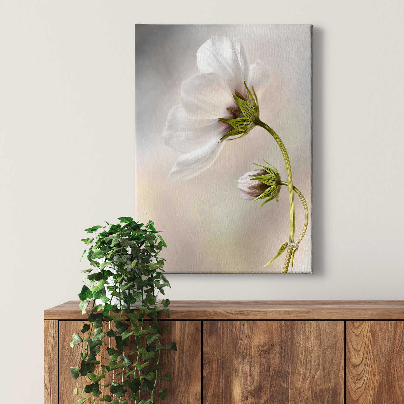             Canvas print flower head, photograph by Disher – white
        