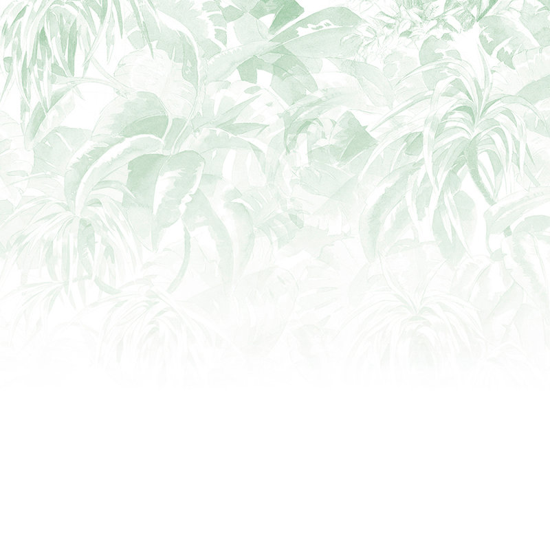         Photo wallpaper tropical leaves, minimalist & natural - Green, White
    