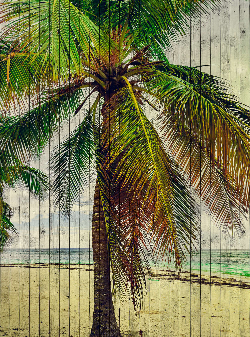             Tahiti 3 - Palmbehang met vakantiegevoel - houtpaneelstructuur - Beige, Blauw | Matte gladde vliesstof
        