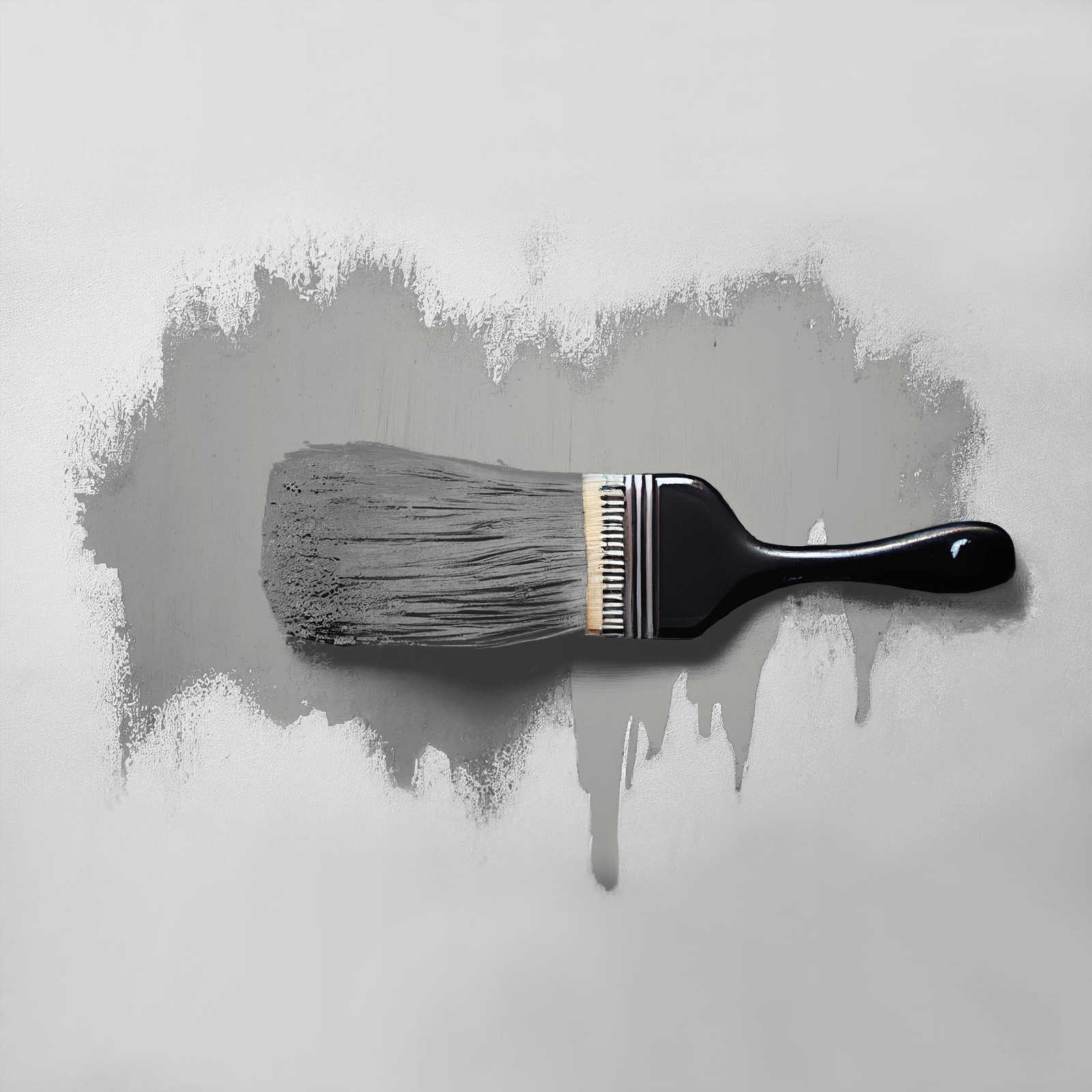             Pintura mural TCK1011 »Attractive Anchovies« en gris plata cálido – 2,5 litro
        