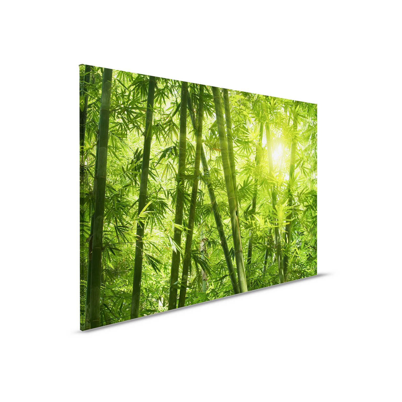         Canvas painting Bamboo and Leaves - 0,90 m x 0,60 m
    
