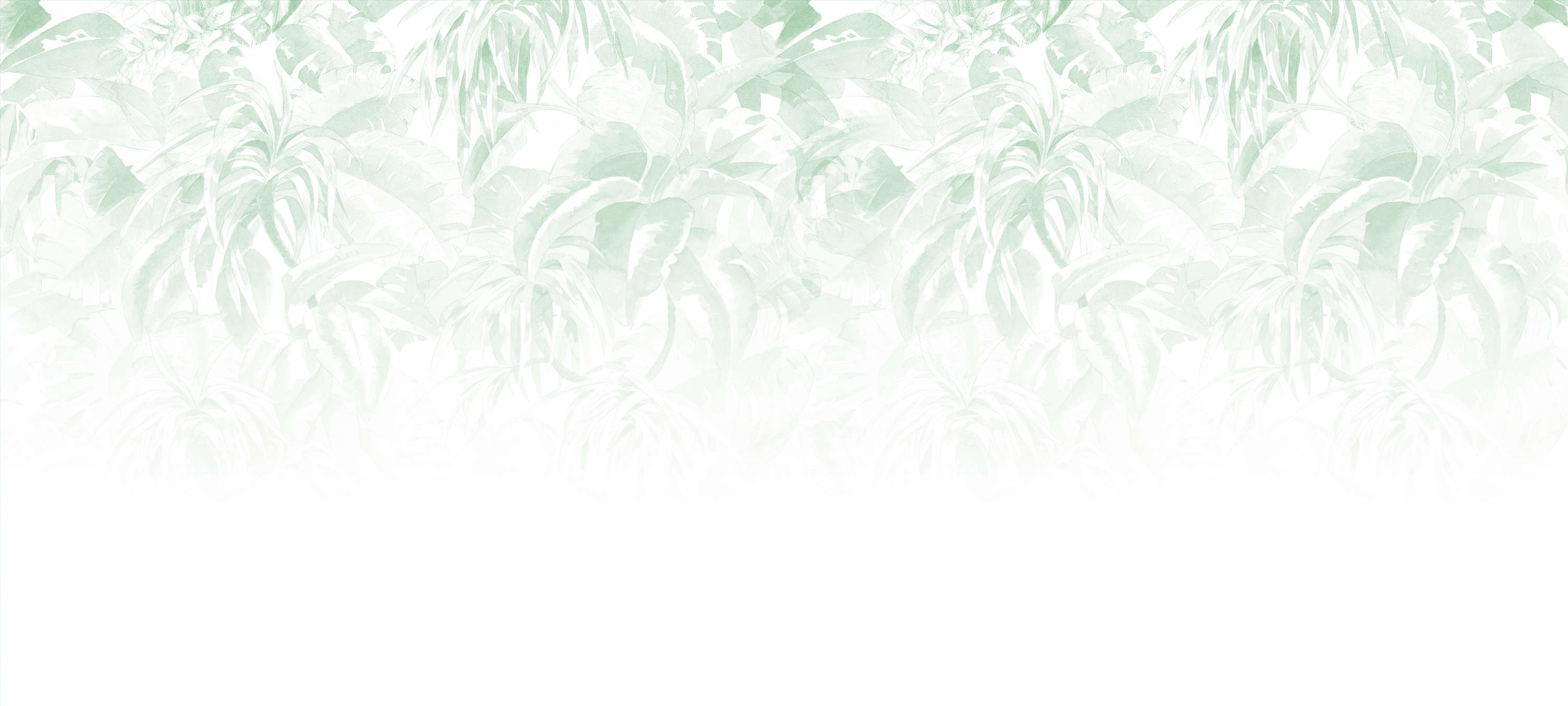             Photo wallpaper tropical leaves, minimalist & natural - Green, White
        