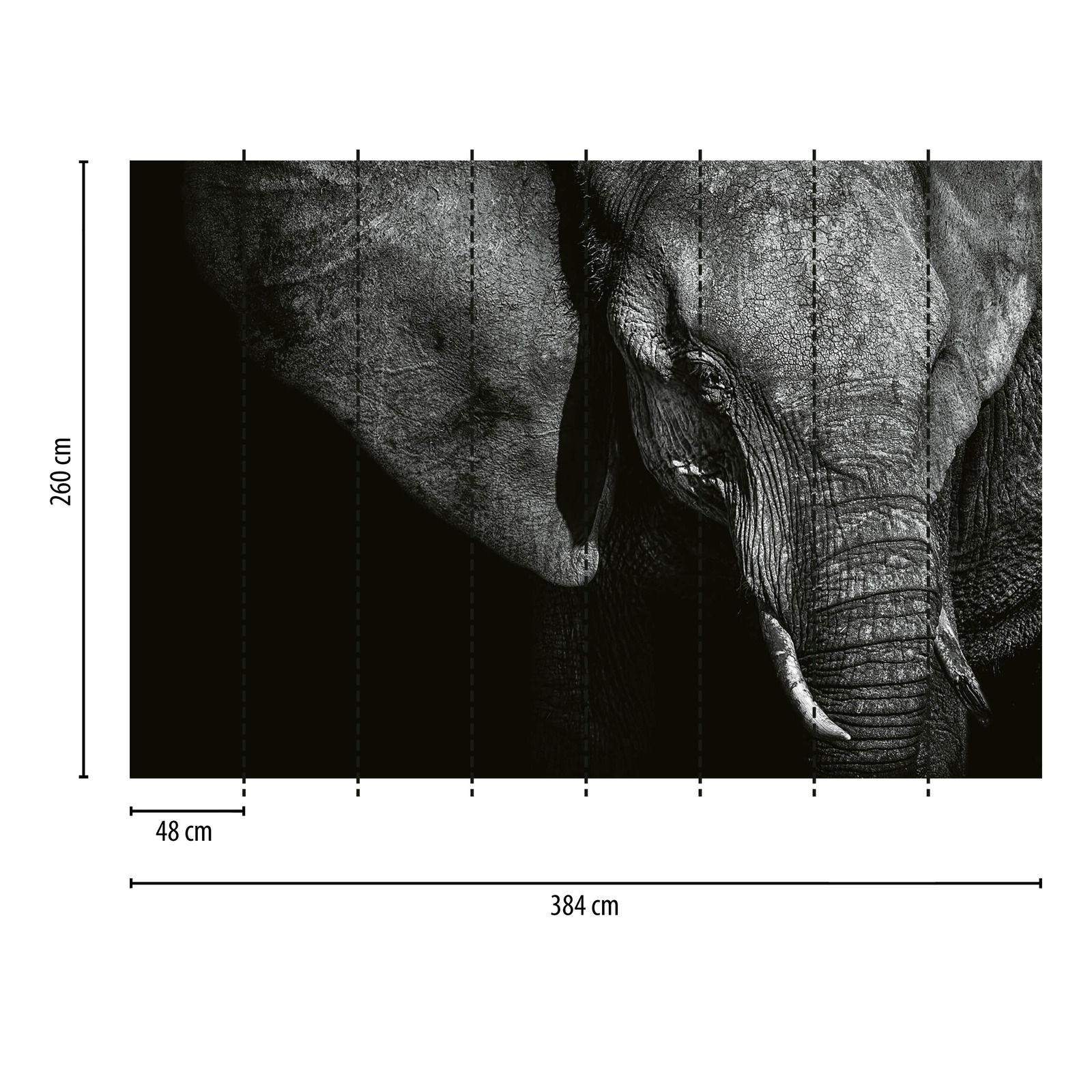             Papier peint animal éléphant - noir, gris, blanc
        