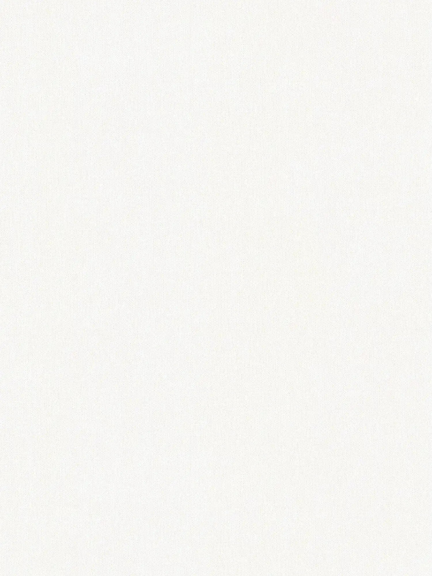 Carta da parati liscia chiara, opaca, bianca con struttura in lino
