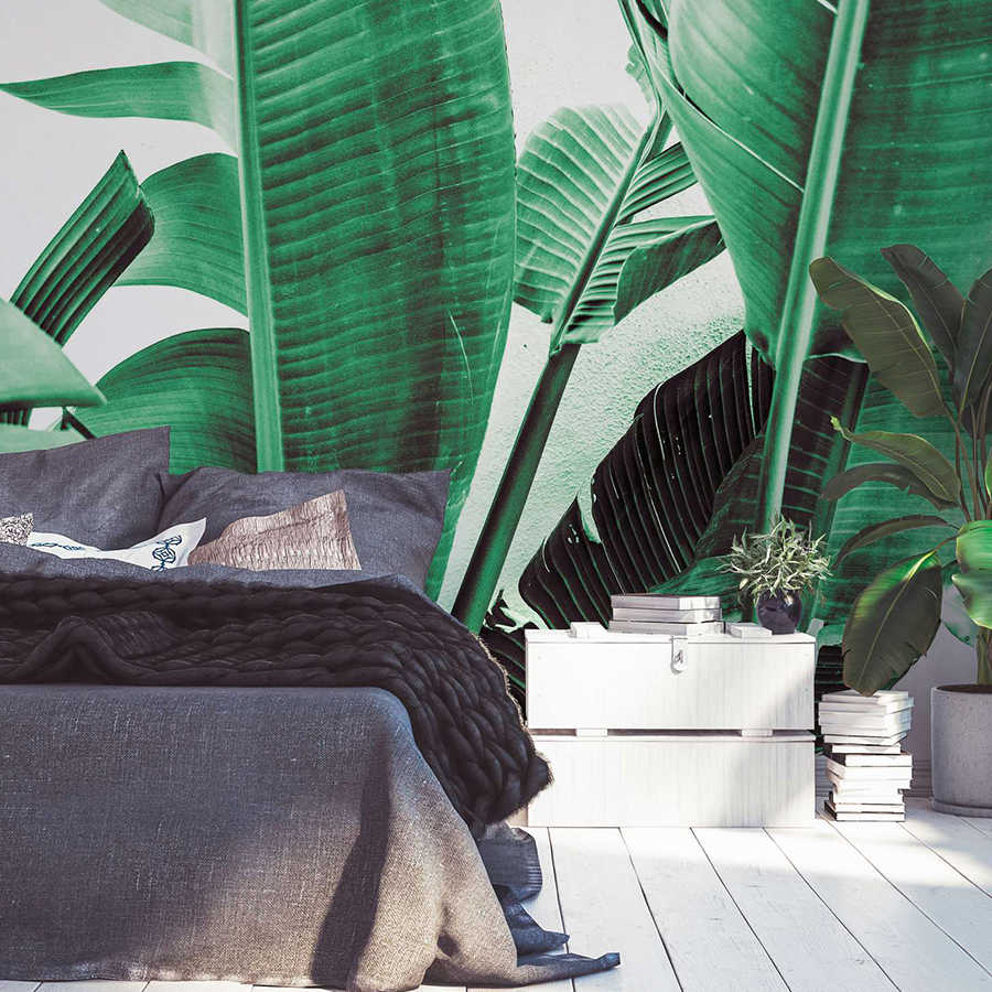 Papier peint panoramique Détail de feuilles de palmier - vert, blanc
