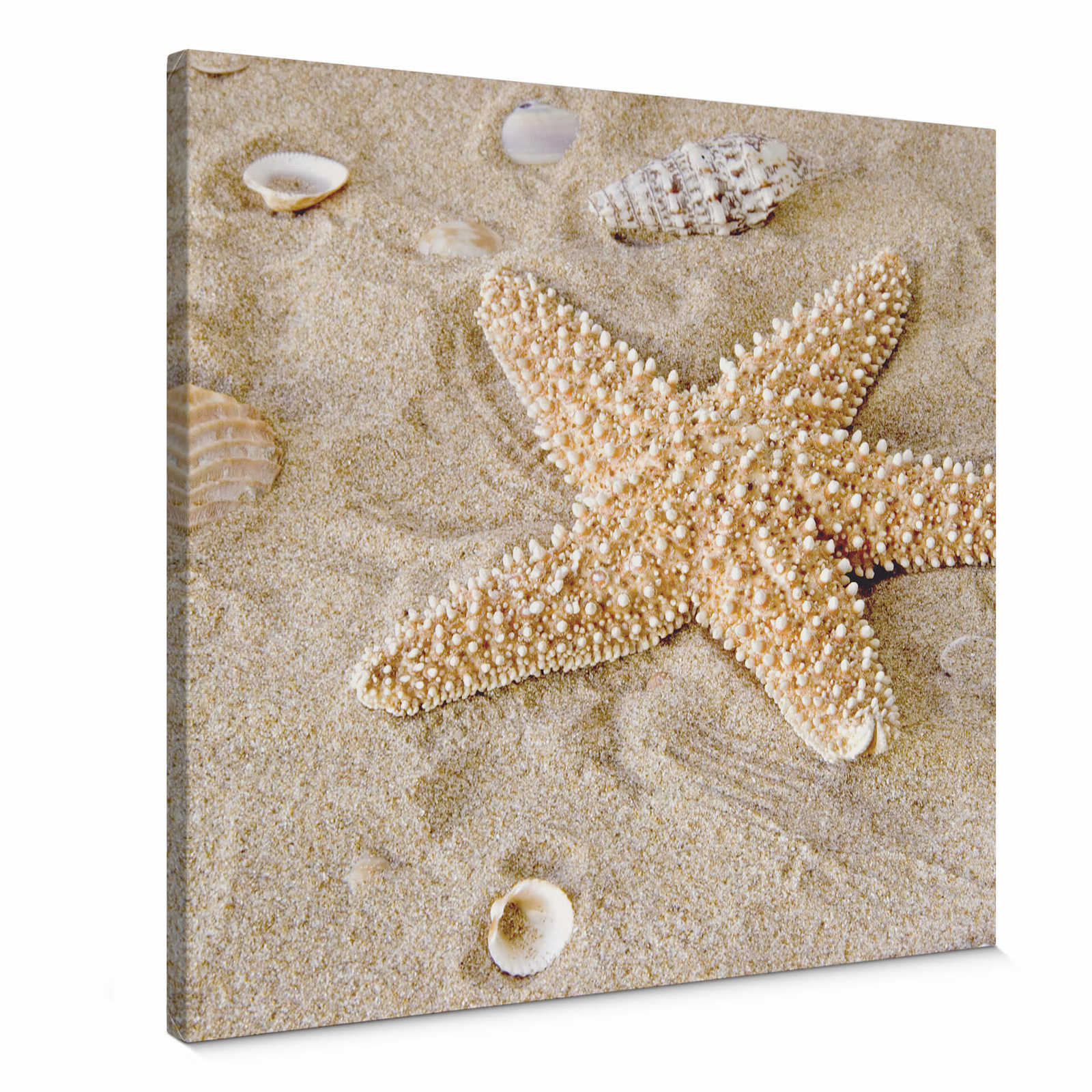 Square canvas print starfish in beige
