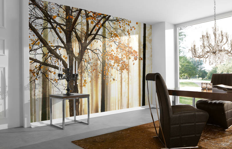             Nature mural autumn forest motif on textured non-woven
        