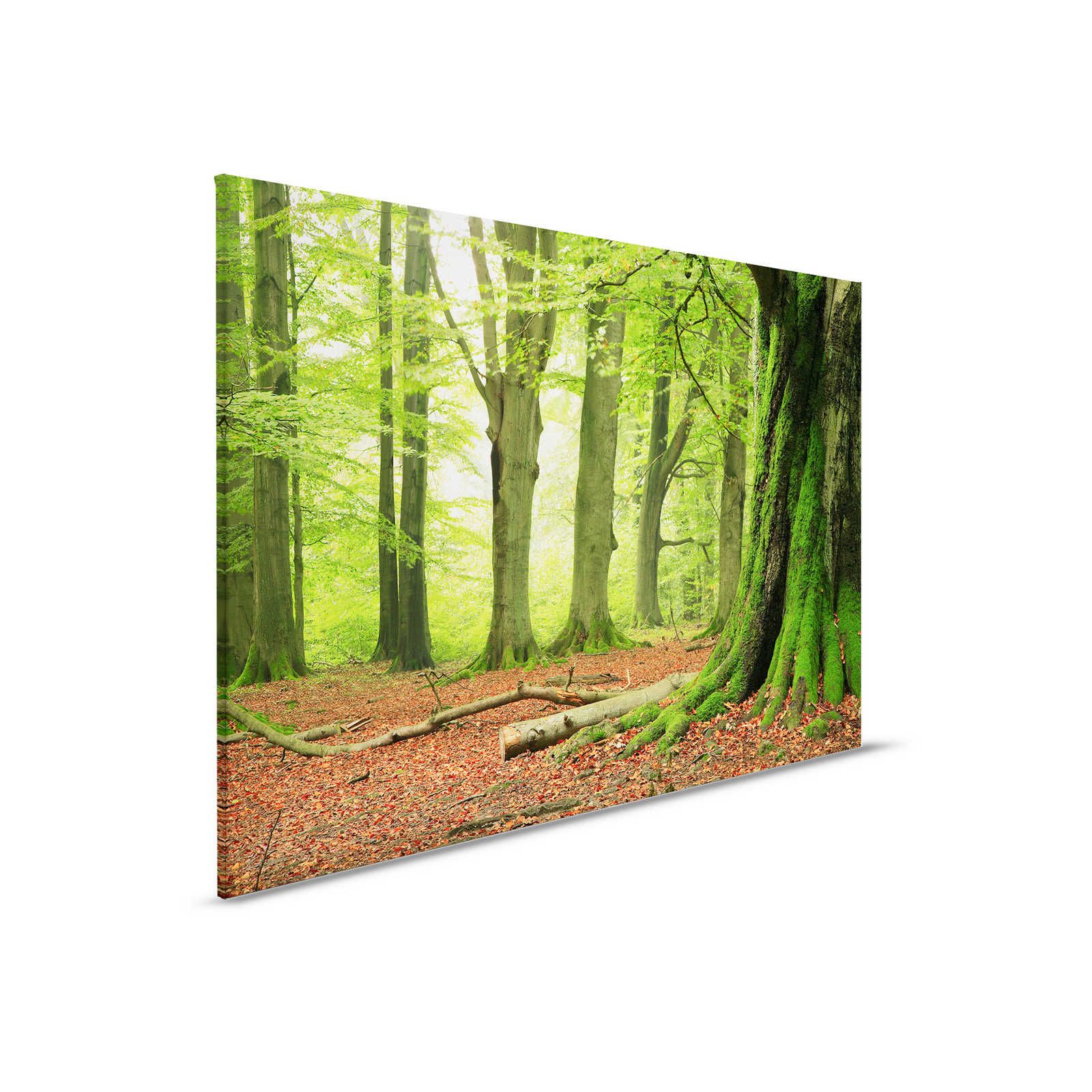 Nature Canvas painting Forest with Moss Trees - 0,90 m x 0,60 m
