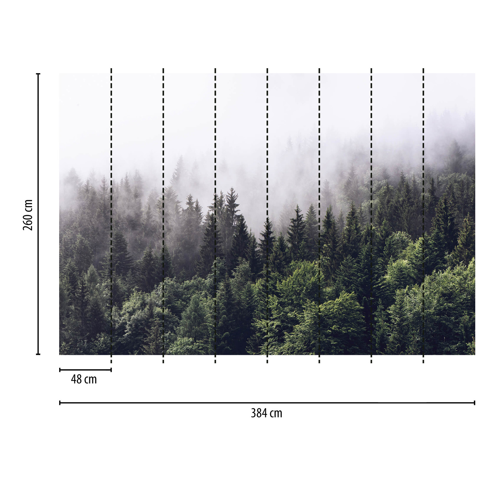             Papier peint panoramique forêt dans le brouillard - vert, blanc
        